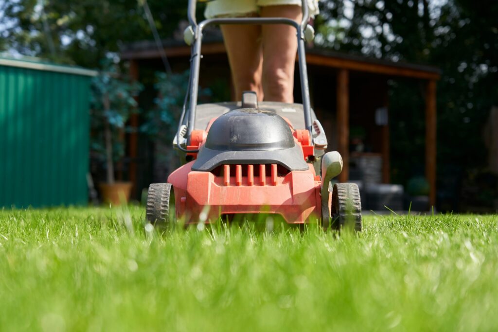 Lush green garden with a freshly trimmed and tidy lawn maintained by expert gardening services.
