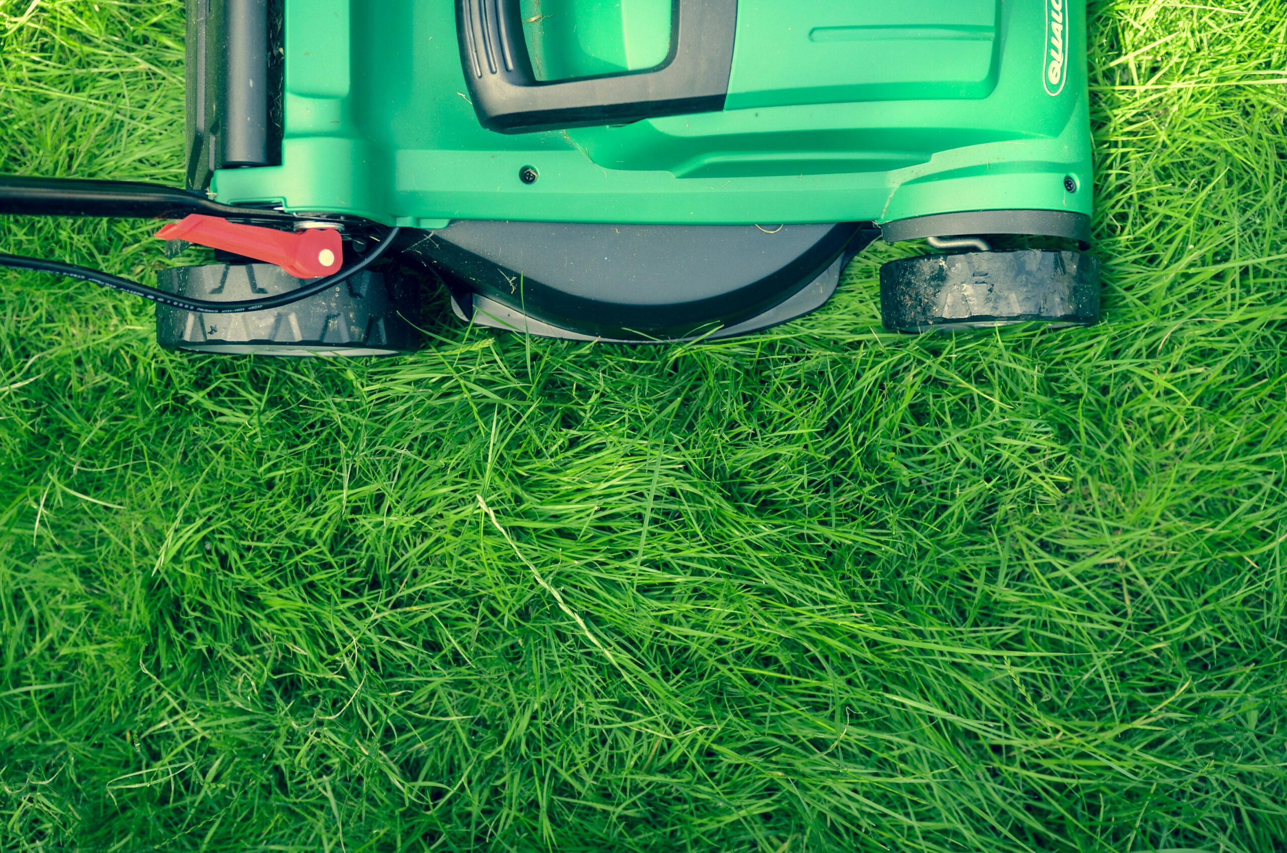 Best Grass Cutting Swindon | Lawn & Garden Services
